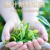 蓝焙2025年新春茶叶湖北雨前浓香高山富硒茶炒青一芽两叶一级口粮绿茶 商品缩略图1