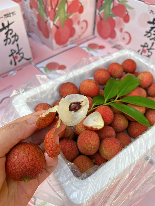 【白糖罂】白糖罂荔枝，海南荔枝 无水干荔枝，入口甘甜水润，可以尝鲜啦！ 商品图5