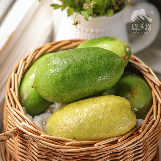 生态香水柠檬（广州）   | 合作生产 * Ecological Lemon | Coproduction 商品图1