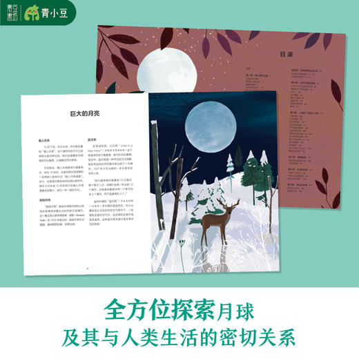 月亮之书 360科普系列 全方位探秘月球 献给每个热爱星空和宇宙的孩子 商品图2