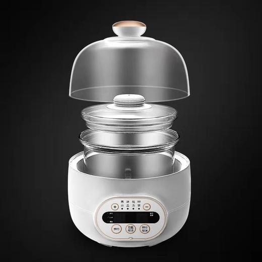 天际DGD10-10PWG微电脑电炖盅 商品图2
