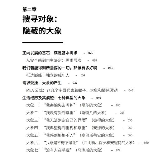 《躲在蚊子后面的大象》 商品图9