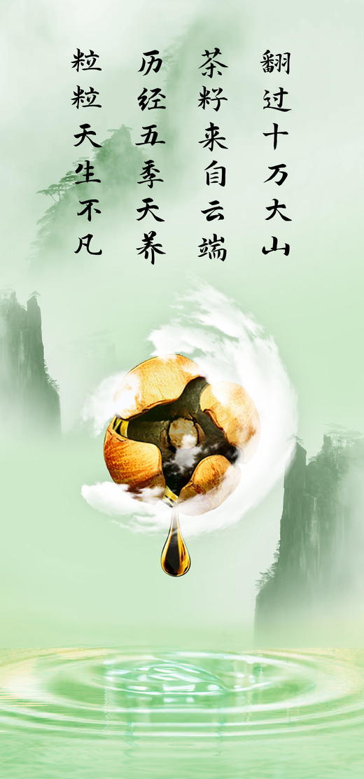 桂之坊 原香山茶油 500ml 有机产品 商品图4