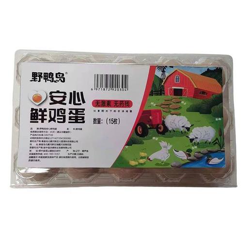 鸭岛15枚安心鲜鸡蛋盒装900g 商品图0