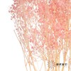 永生花材 | 梦幻星粉色 商品缩略图2
