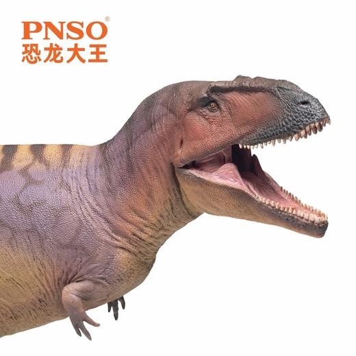 PNSO魁纣龙玛特奥恐龙大王成长陪伴模型83 商品图5