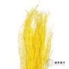 永生花材 | 小时草黄色 商品缩略图2