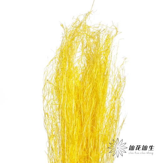 永生花材 | 小时草黄色 商品图2