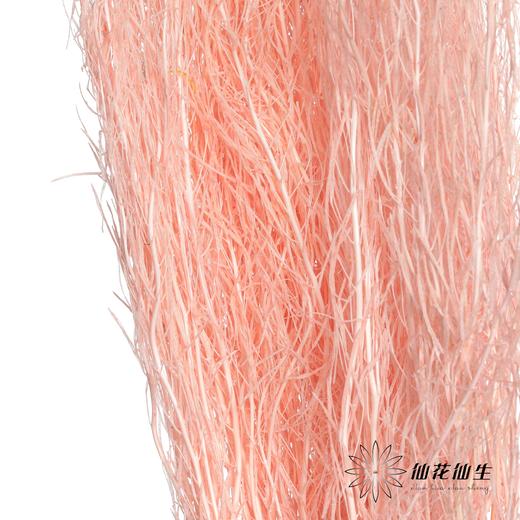 永生花材 | 小时草粉色 商品图2
