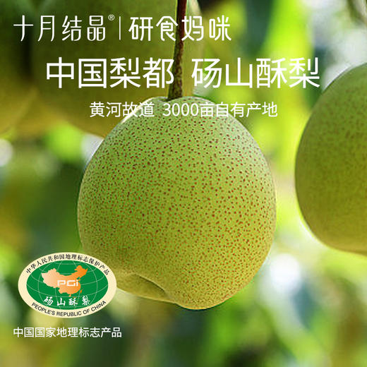 研食妈咪纯萃梨膏无添加孕妇孕期泡水喝润喉100%砀山酥梨 商品图4