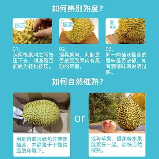 佳沃金枕榴莲A果 约2.0-2.5kg/个（随机发货，成熟度不同，切勿生开，生开不退不换） 商品图1