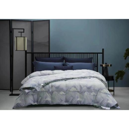 南5楼堂皇床品山水晴岚羽绒二合一被 商品图0