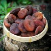古树杏干 土耳其黑杏 220g/罐 商品缩略图2