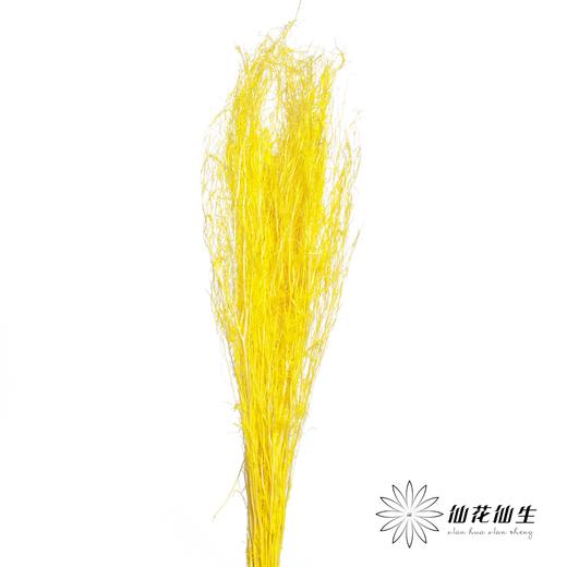 永生花材 | 小时草黄色 商品图0
