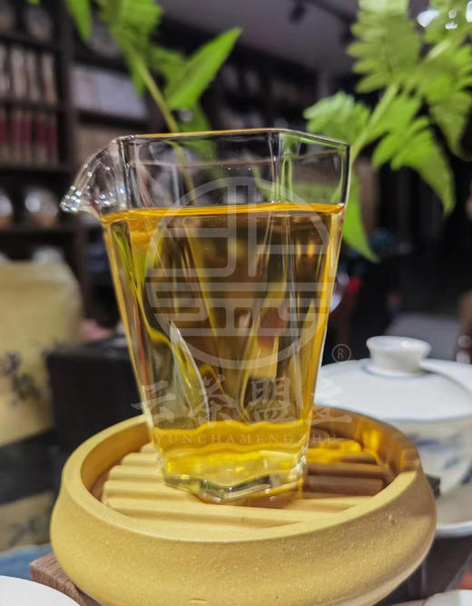 【微量分享】最核心！最强悍！最让人难以忘怀的滋味！天门山村长李明川自家茶树！二类核心产区高杆古树单株！紧挨边境线的原始森林古树茶。150克/盒！ 商品图2