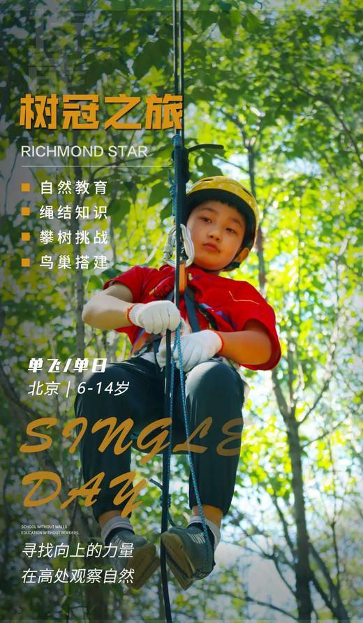 单日攀树—户外技能培训【树冠之旅】 | 变身炫酷蜘蛛侠，找到生命向上的力量！ 商品图0