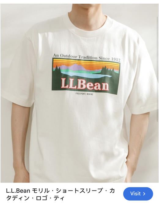 美式老牌复古 L.L.BE@N 落日山峦 印花圆领短袖 TX285 商品图0