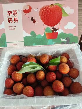 华荔转身白糖罂荔枝（礼盒装）