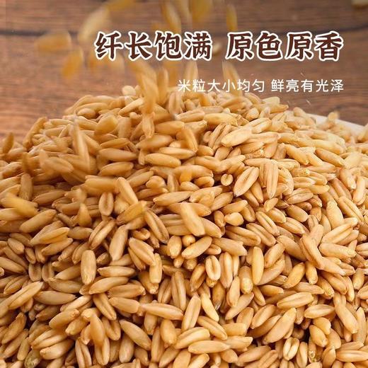 【买2送1，燕麦米500g】当季新粮，纤长饱满，原色原香，弹糯细腻，营养满满！内蒙古胚芽煮粥五谷杂粮粗粮 商品图1
