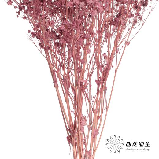 永生花材 | 梦幻星葡萄紫 商品图3