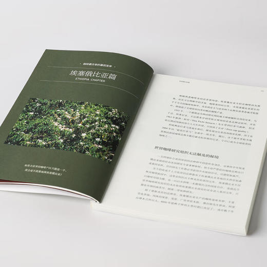 寻豆师：非洲咖啡指南 非洲精品咖啡的经典工具书 许宝霖 著 商品图6