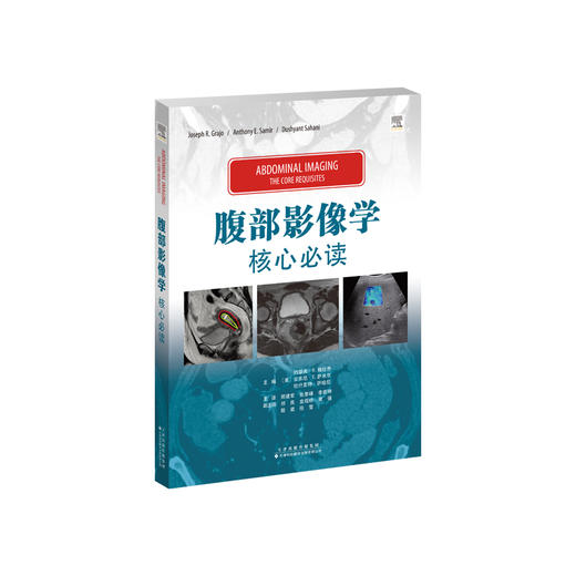 “核心必读”系列——腹部影像学：核心必读 腹部疾病 影像学 商品图1