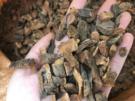 仙蒙道地堂  生大黄碎片2kg/份 商品图2