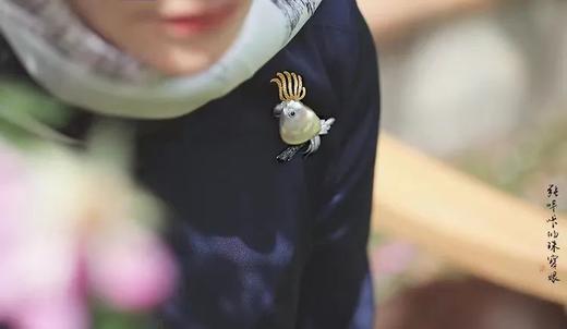 葵花凤头鹦鹉 商品图6