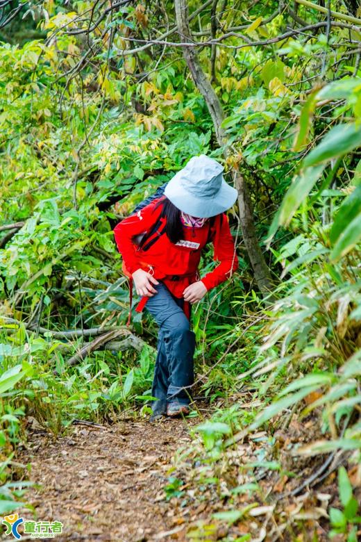 【杭州】 Camp Life！来一次高山野外露营 商品图3