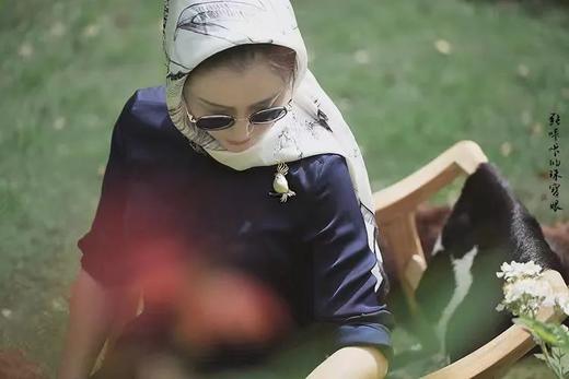 葵花凤头鹦鹉 商品图4