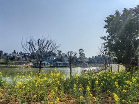 【团建优选·雅安237号民宿】6999元=14房包院，茶园，k歌、泳池、会议、机麻、临湖垂钓! swht