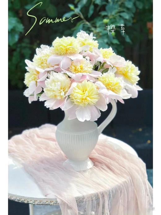 精品芍药花普利梅尔樱草 商品图4
