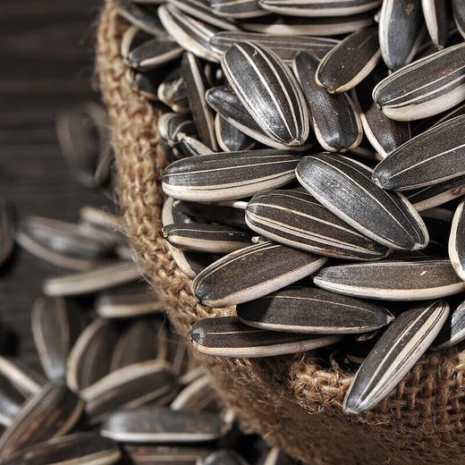 洽洽毛嗑香瓜子500g焦糖味/山核桃味 商品图2