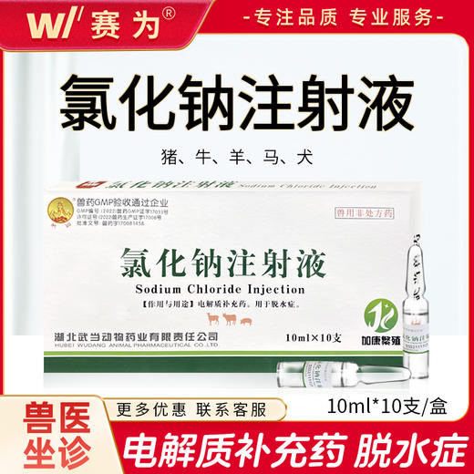 0.9%氯化钠注射液兽用盐水脱水症猪牛羊马猫犬兔补充体液稀释 商品图0