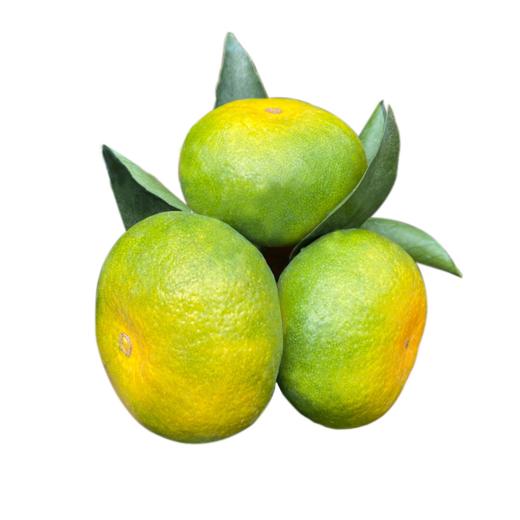 小叶蜜桔(1000±50g) 商品图0