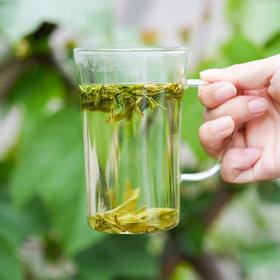 【雨前】杭州龙井私藏级口粮茶，高性价比，天天喝也不腻~