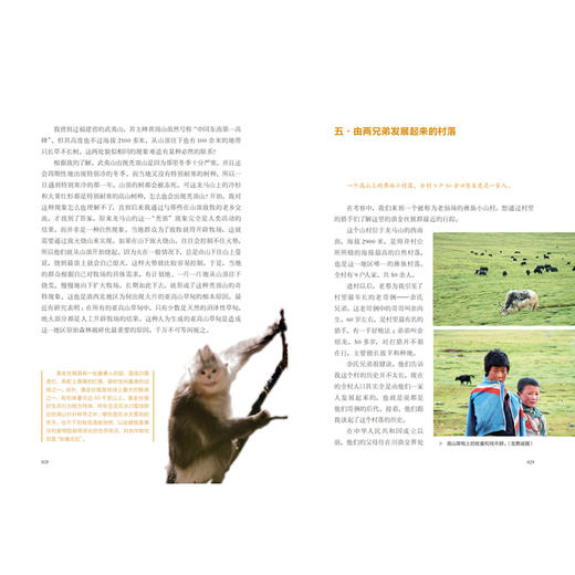 守望雪山精灵——滇金丝猴科考手记 商品图6