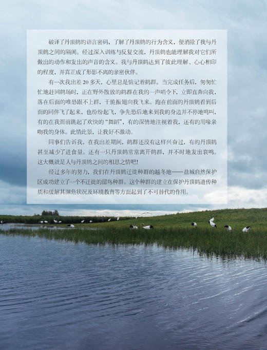 《风中的丹顶鹤：相伴“湿地仙子”的日子》 商品图6