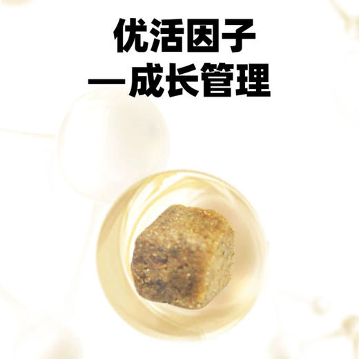 伯纳天纯无谷低敏幼猫粮10kg孕猫离乳期增糕粮猫粮 商品图3