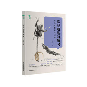 《探秘喀斯特精灵：白头叶猴科考实录》