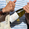 勃艮第传奇三大酒神之一Michel Lafarge 45年老藤黑皮诺Bourgogne/Volnay +80年老藤阿里高特Aligote Raisins Dores 2020新年份 商品缩略图9