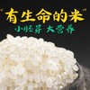 【“有生命的米”！大米鲜胚芽米】农家种植，保留大米胚芽，小胚芽，大营养！粳米谷物米搭配 商品缩略图0