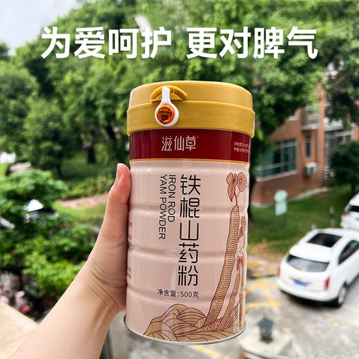 【199元3罐】滋仙草严选铁棍山药粉500g/罐 商品图4