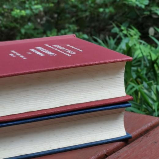 《阿尔比恩的种子：美国文化的源与流》，精装，32开，全2册，[美]大卫.哈克特.费舍尔著，广西师范大学出版社2018年一版一印，1260页，定价198，售价88元。 商品图4