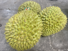 越南干尧榴莲500g