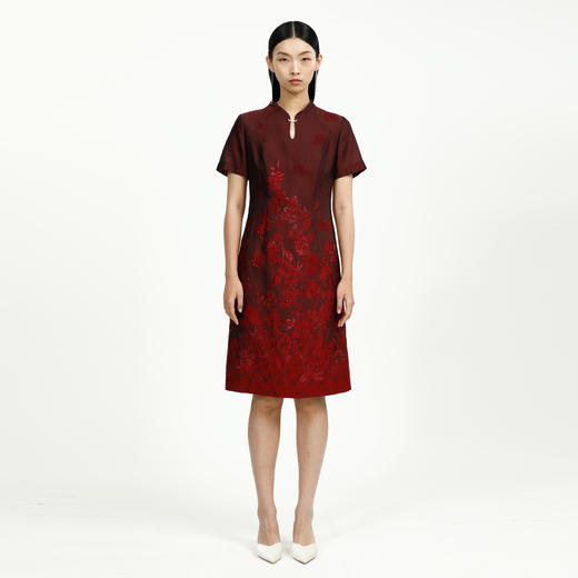 戴布拉芬连衣裙L27B524 商品图1