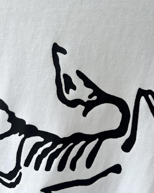 现货 THS 5.25-限时 鸟家 男士 logo印花T恤 4色 AH2436 商品图11