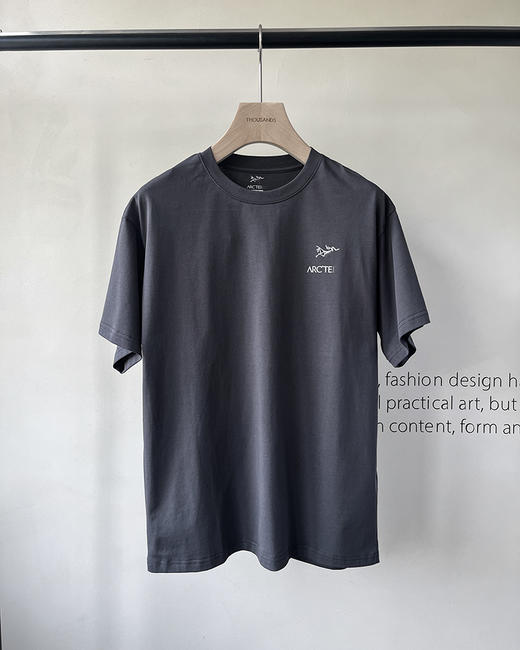 现货 THS 5.25-限时 鸟家 男士 logo印花T恤 4色 AH2436 商品图4