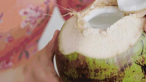 冰蓝迪椰子水 天然电解质水新鲜椰青水椰汁果汁饮料 商品图3