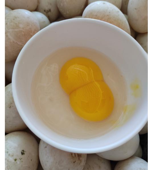 双黄白鸭蛋20枚 商品图1